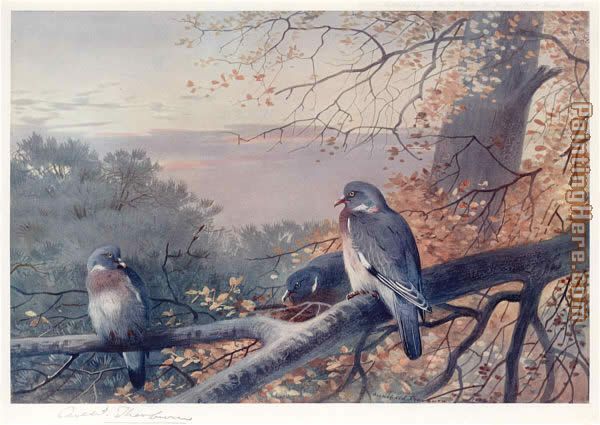 Wood Pigeons in Beech Tree painting - Archibald Thorburn Wood Pigeons in Beech Tree art painting